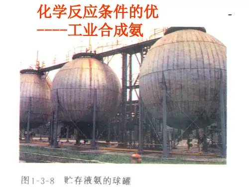化学反应条件的优化---工业合成氨