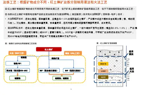 红土镍矿火法RKEF及湿法HPAL工艺对比