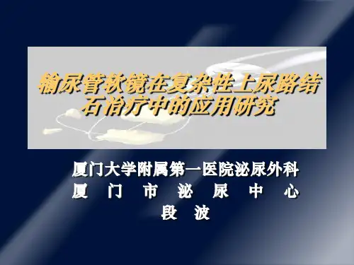 输尿管软镜在复杂性上尿路结石治疗中的应用研究ppt课件