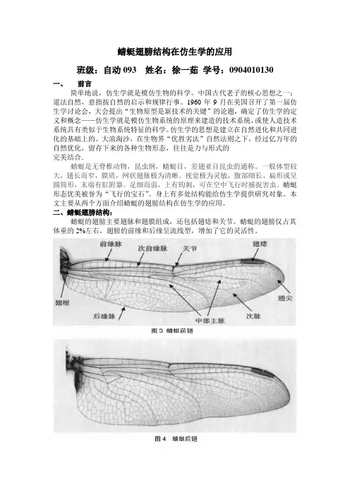 蜻蜓翅膀结构在仿生学的应用