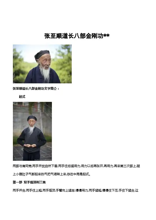 张至顺道长八部金刚功