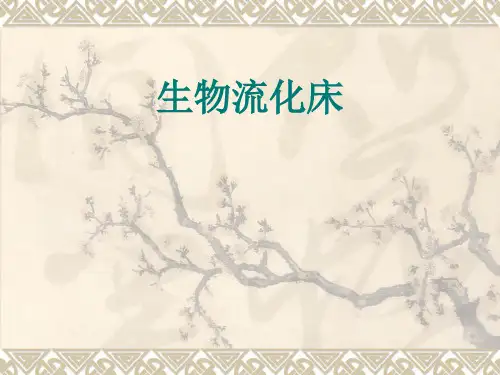 生物流化床