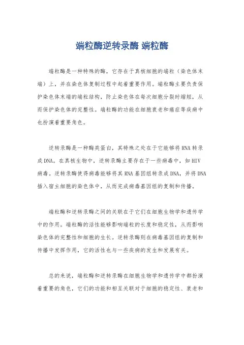 端粒酶逆转录酶 端粒酶