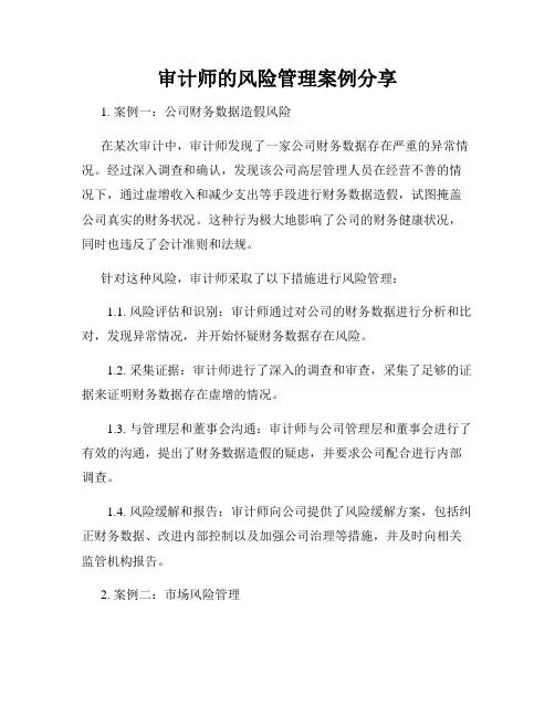 审计师的风险管理案例分享