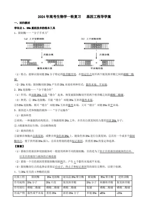 2024届高三生物一轮复习基因工程导学案