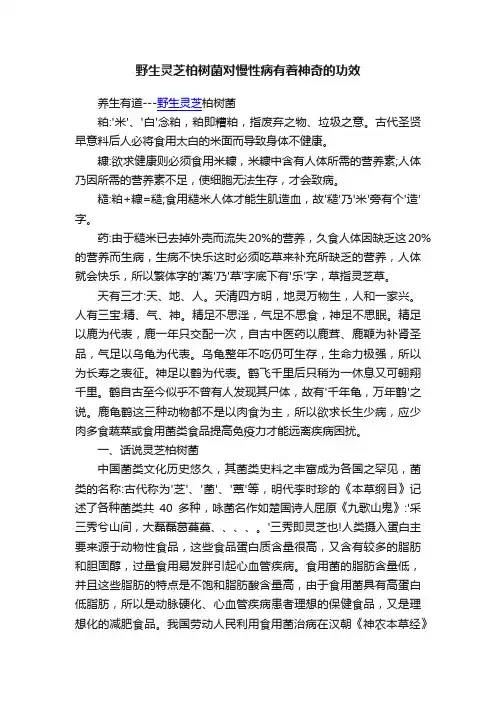 野生灵芝柏树菌对慢性病有着神奇的功效