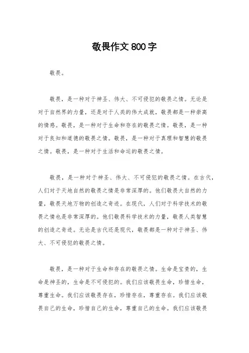 敬畏作文800字