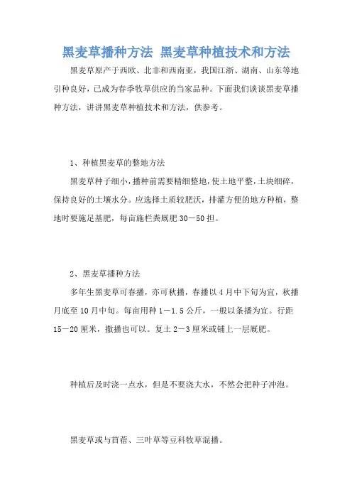 黑麦草播种方法 黑麦草种植技术和方法