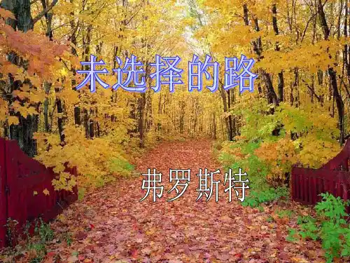 未选择的路精品PPT课件