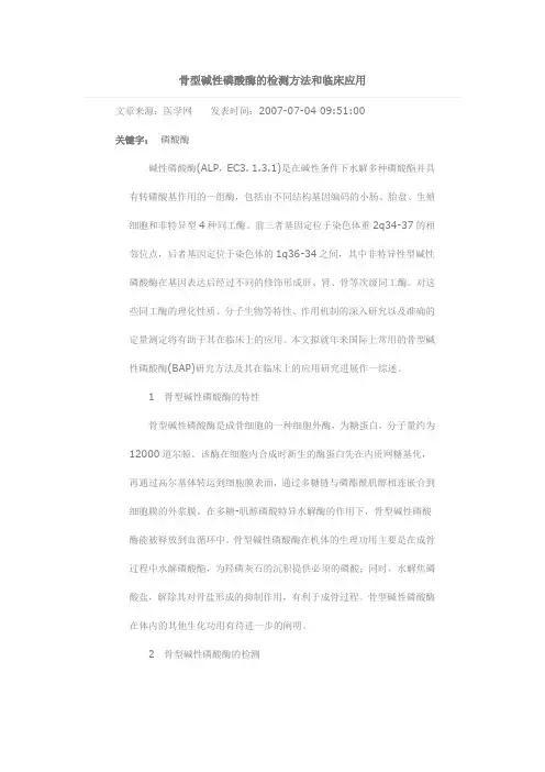 骨型碱性磷酸酶
