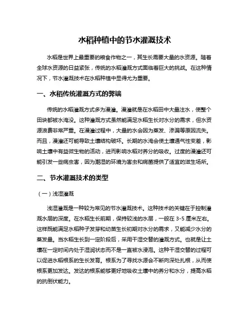 水稻种植中的节水灌溉技术