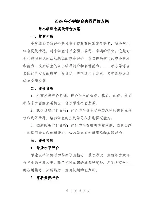 2024年小学综合实践评价方案