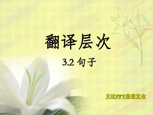 翻译层次