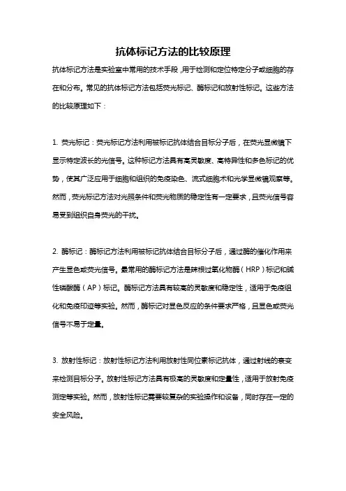 抗体标记方法的比较原理