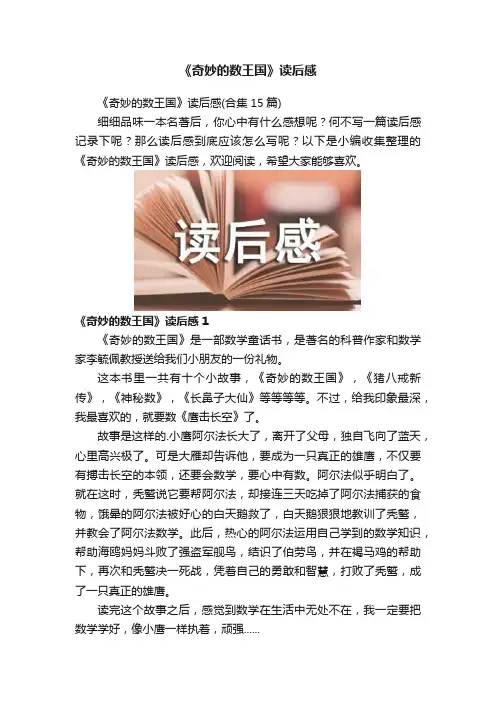 《奇妙的数王国》读后感