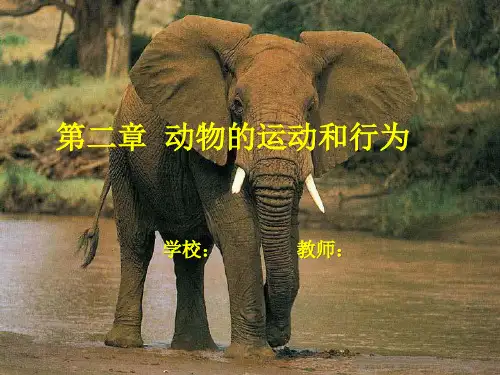 人教版生物八年级上册5.2.1《动物的运动》教学课件