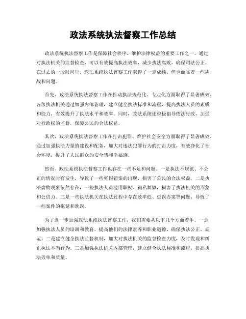 政法系统执法督察工作总结