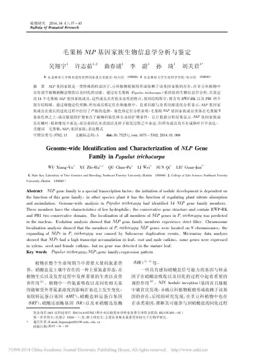 毛果杨NLP基因家族生物信息学分析与鉴定_吴翔宇.