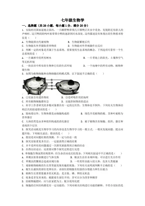 七年级生物试题