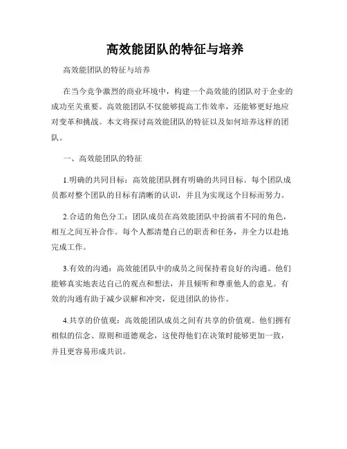  高效能团队的特征与培养