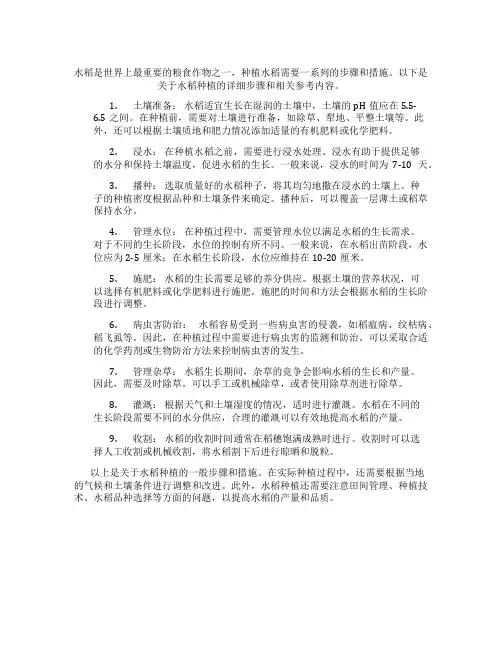 水稻种植步骤