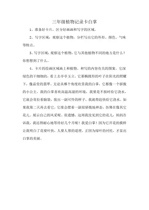 三年级植物记录卡白掌