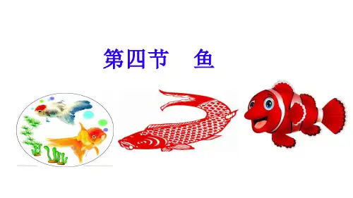 鱼课件人教版生物八年级上册