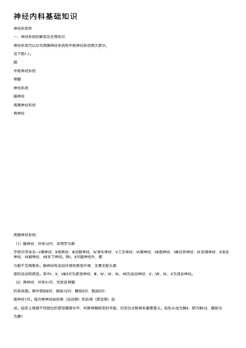 神经内科基础知识