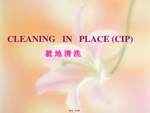 CIP-原理