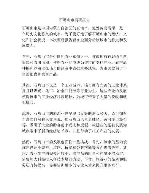 石嘴山市调研报告