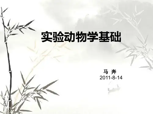 动物实验基础知识