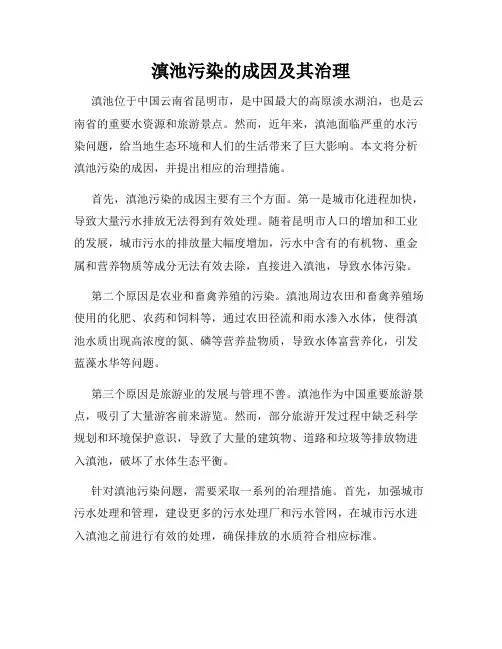 滇池污染的成因及其治理
