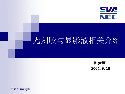 20060814 光刻胶与显影液