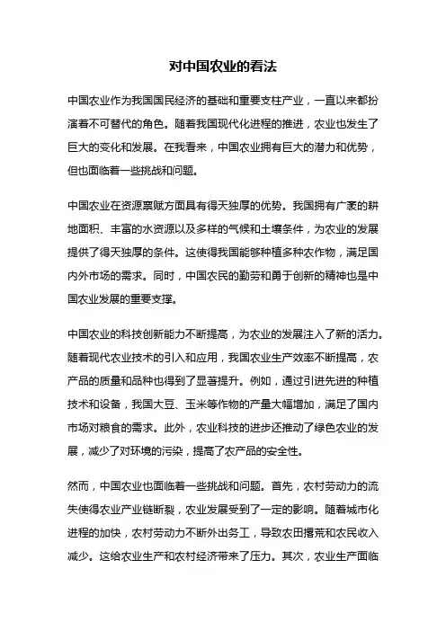 对中国农业的看法