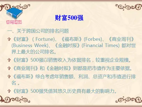 跨国公司概况  ppt课件