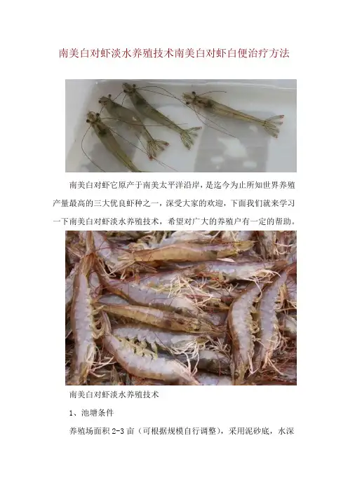 南美白对虾淡水养殖技术 南美白对虾白便治疗方法