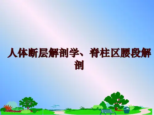 最新人体断层解剖学、脊柱区腰段解剖幻灯片课件