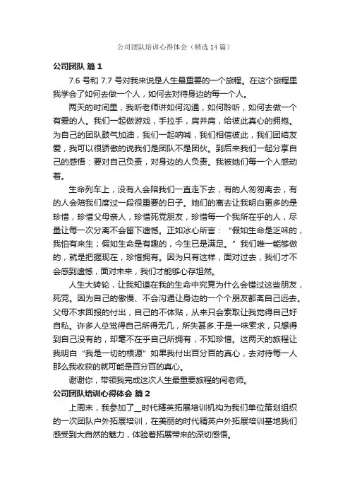 公司团队培训心得体会（精选14篇）