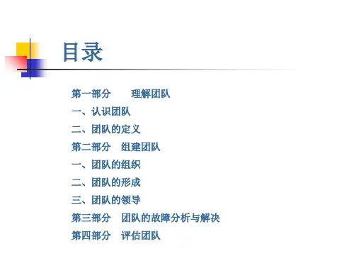 团队管理(74页PPT)