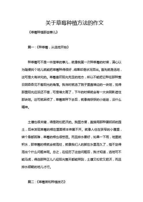关于草莓种植方法的作文