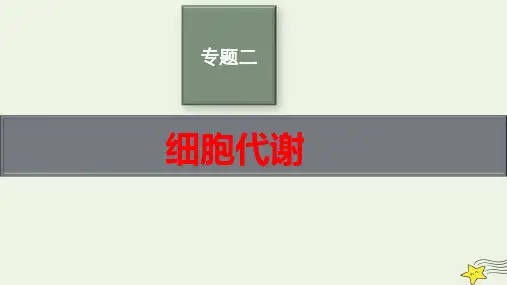 老高考新教材适用2023版高考生物二轮复习专题2细胞代谢pptx课件
