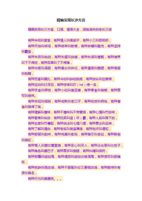 精编实用长沙方言