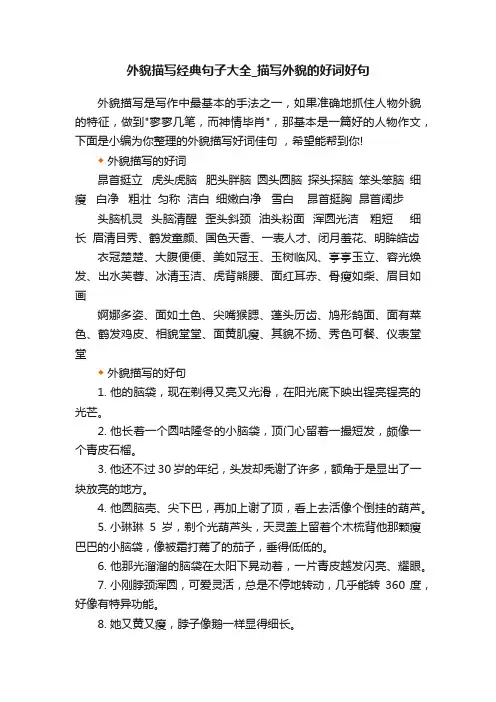 外貌描写经典句子大全_描写外貌的好词好句