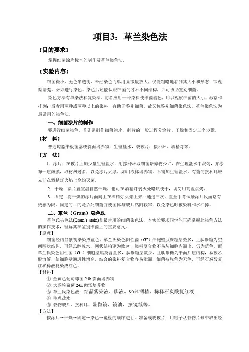 项目3：革兰染色法教案