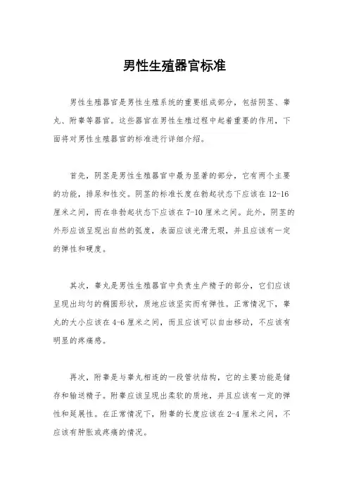 男性生殖器官标准