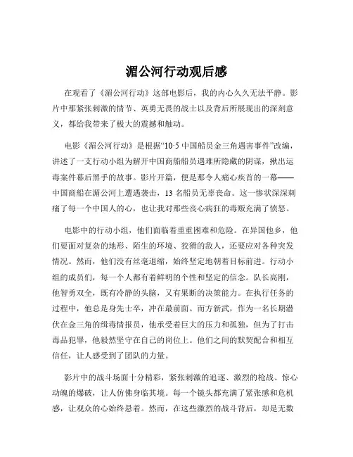 湄公河行动观后感