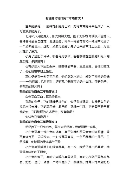 有趣的动物白兔二年级作文