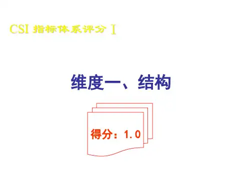 《CSI指标体系评分》PPT课件