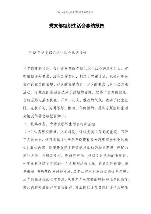 2019年党支部组织生活会总结报告