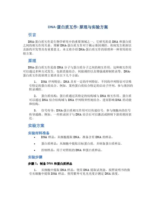 DNA-蛋白质互作-原理与实验方案